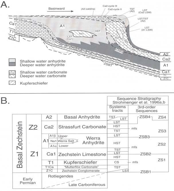 8 Kristin Börner Fig.7. Zechstein evaporites of northwestern Germany (after Stromenger et al. 1996a, b). 1) Schematic of basal Zechstein relationships on the southern margin of the Zechstein Basin.
