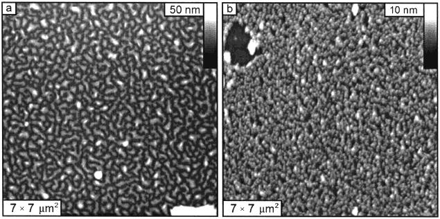 F Langmuir Gallyamov et al. Figure 5. Polymer coating deposited onto mica substrate. Topography AFM image obtained in contact mode in air (a) and in tapping mode in ethanol (b).
