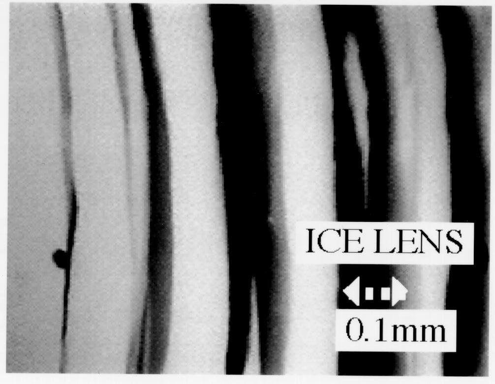 Table 2. Expirimental conditions for isolated particles system Figure 3. Ice lenses formed in the packed particles system under A = 0.20 ( C/mm),Vf = 0.8 (µm/sec) and = 2.