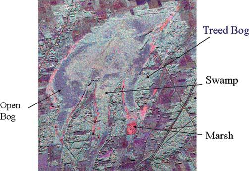 82 IEEE TRANSACTIONS ON GEOSCIENCE AND REMOTE SENSING, VOL. 45, NO. 1, JANUARY 2007 Fig. 10. Convair-580 multipolarization SAR image (Mer Bleue). (Red) HH. (Green) HV. (Blue) VV. Fig. 12.