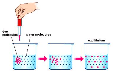 MOVEMENT OF MATERIALS THROUGH CELL MEMBRANES 1.