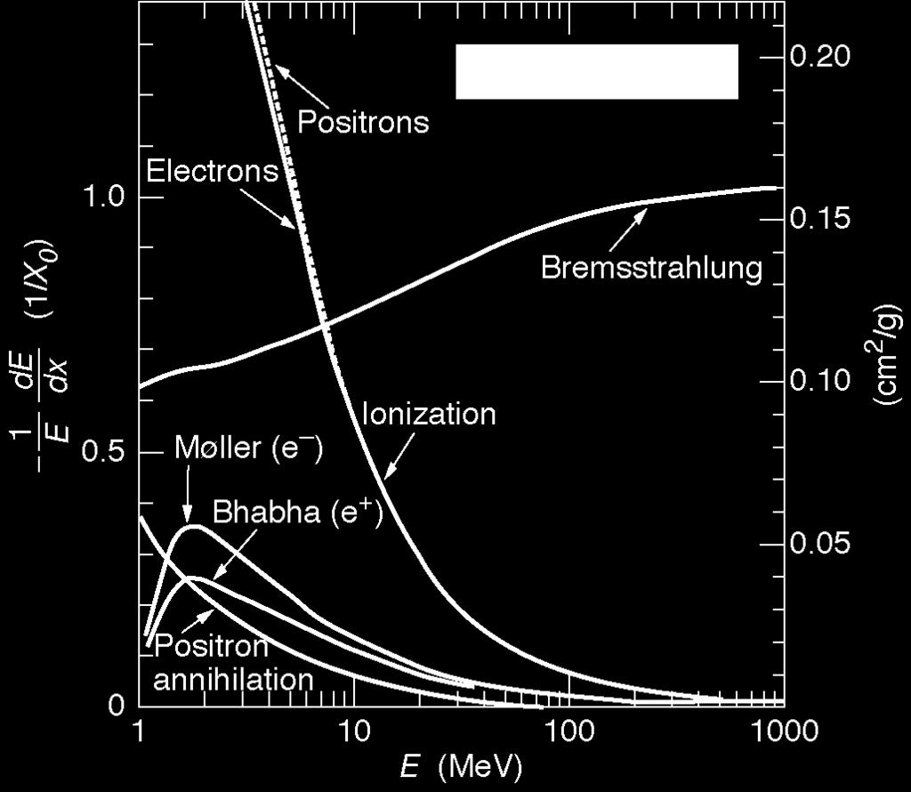 .1. Energy loss of electrons and positrons Relative energy losses for electrons and positrons: Ionisation losses decrease logarithmically with E (and increase linear with Z ) Bremsstrahlung increases