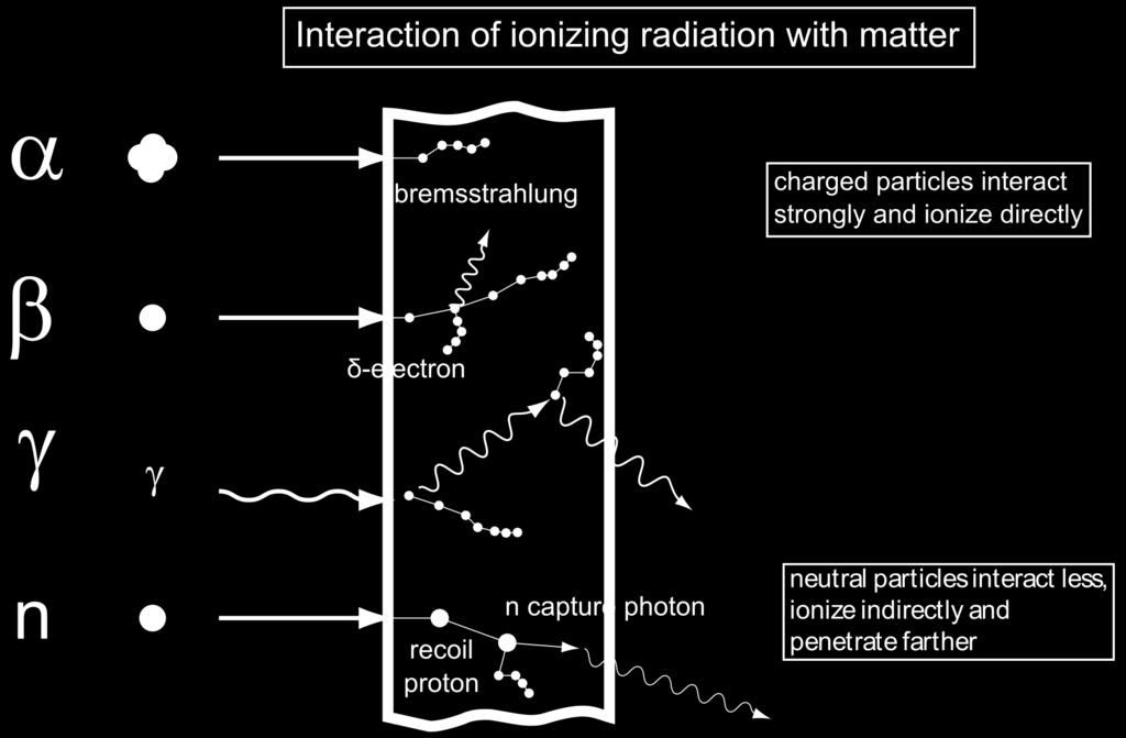 Radiation Interactions &