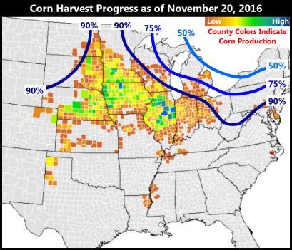 0 Accumulated Precipitation for Peoria, IL Compared to Benchmark Weather Years Corn harvesting is now 97% complete nationally, slightly ahead of the 5 year average of 96%, and matching the harvest