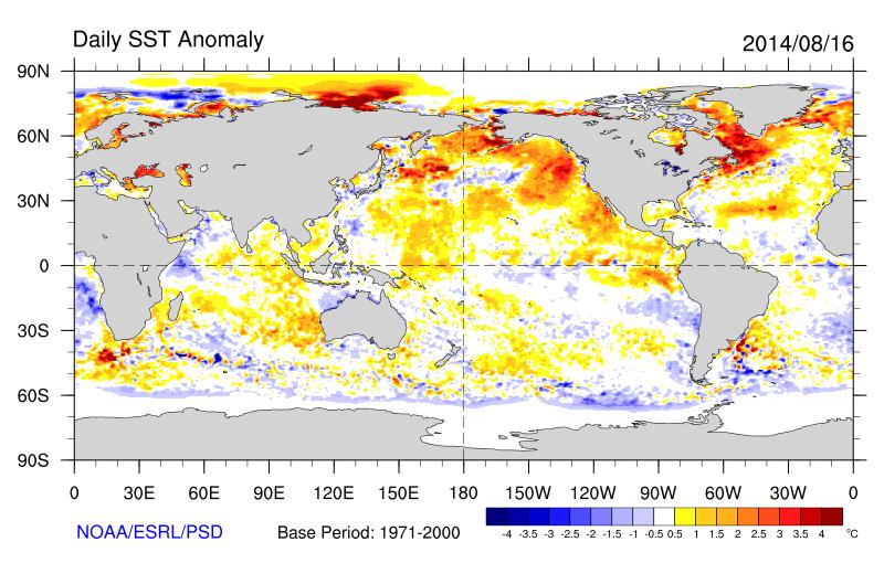 Daily Global SST Anomalies as of 8/16/14 Note the lack of typical El Niño signature along eastern Equatorial Pacific.
