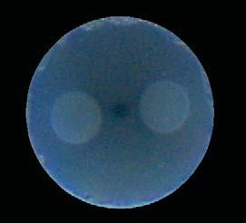 Microscopic image of sample Determined axial stress in sample Axial stress Panda type fiber cladding diameter 125 m,