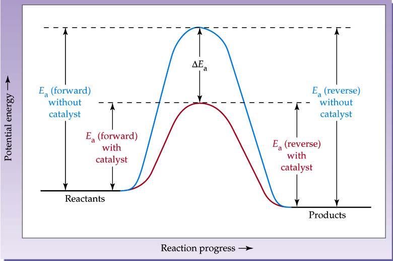 Catalysis, Reduction of