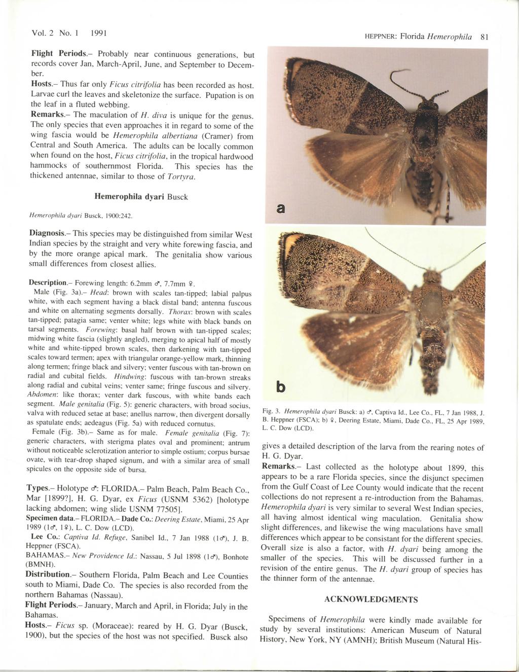 Vol. 2 No. 1 1991 HEPPNER: Florida Hemerophila 81 Flight Periods.- Probably near continuous generations, but records cover Jan, March-April, June, and September to December. Hosts.