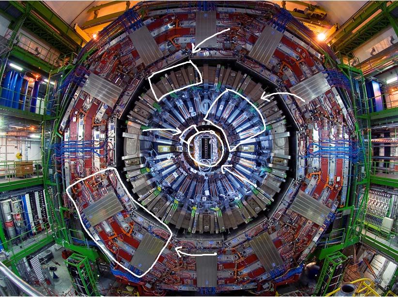 The CMS Detector Superconducting Solenoid E/M Calorimeter Hadron Calorimeter