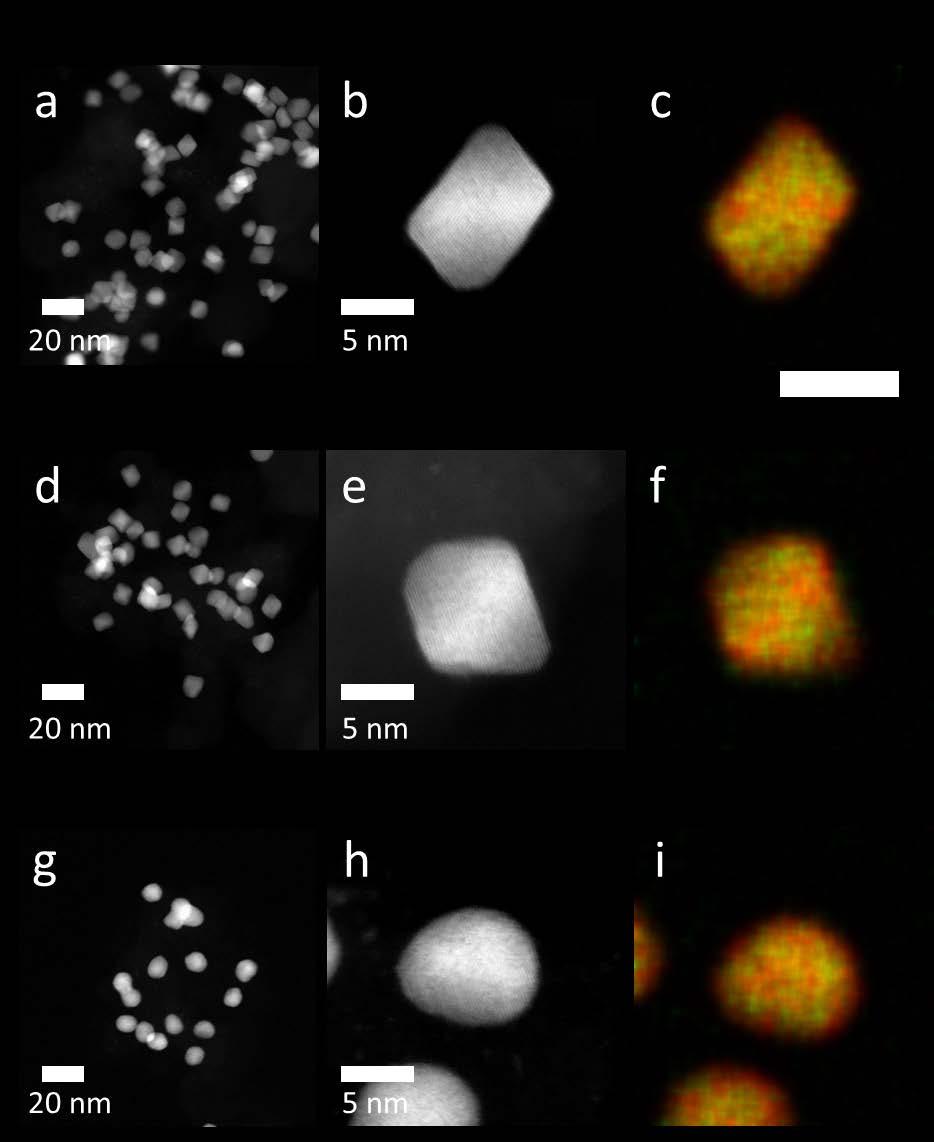 Figure S7 HAADF STEM images and EDX composition maps of Pt-Ni nanoparticles.