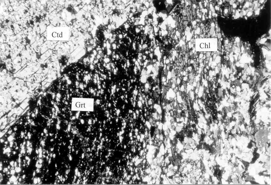 68 M. Moazzen Fig. 2b. Photomicrograph of the MX3 sample illustrating garnet (Grt), chlorite (Chl) and chloritoid (Ctd). Field of view is 4.