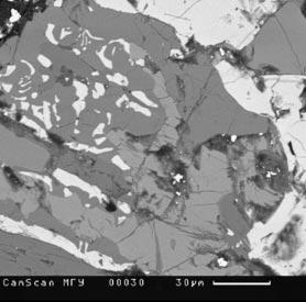 (b) Emulsion magnetite inclusions in silicates (Sample 5267/290).