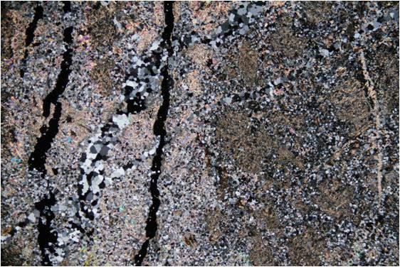 Biotite-quartz-magnetite altered