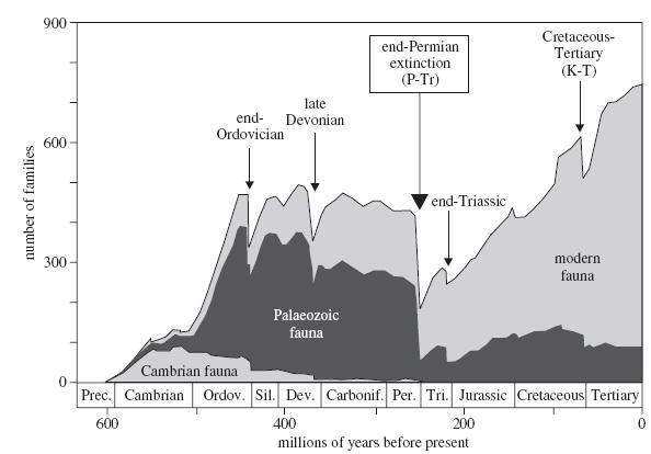 Mass Extinctions The cause(s) of the Permian-Triassic extinction