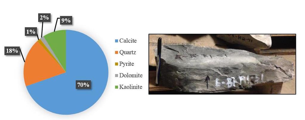 Fig. 2.4 Mineralogy (Weight Percent) and Collected Rock Sample (Pen for Scale) Facies B. Facies C is formed by grainstone prone limestone with mudstone intervals.