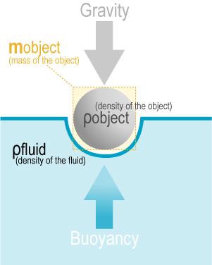 Buoyancy Develops when an object is immersed in a fluid. A function of the volume of the object!