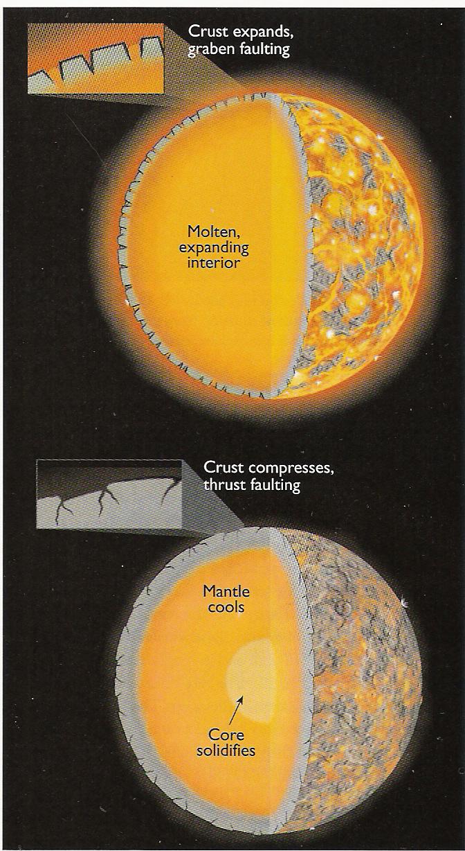 Simplest Tectonics: As planet cools Early - global volcanism Global expansion causes crust to crack lava leaks