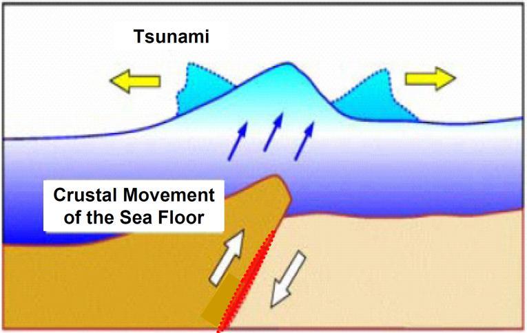 Fault Parameter and Tsunami Source Fault model - Reverse fault given by epicenter given by scaling law log L= 0.5M-1.9 (M:magnitude) W = L/2 logd = 0.5M-3.