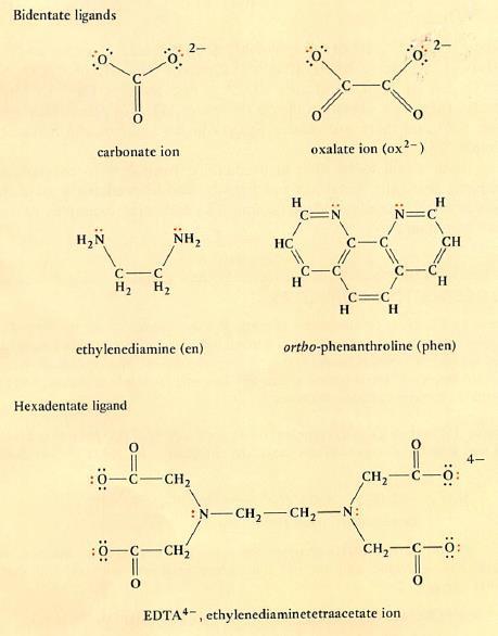 (en)- ethylenediammine (edta) ethylenediamminetetraacetate (ox) or (C2O4 2- ) oxalate edta biting a metal *Negative ligand names end in o : S 2- (sulfido) CO3 2- (carbonato) SO4 2- (sulfato) NO3 -