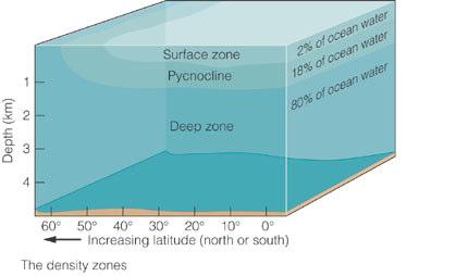 Surface: Well mixed (wind, currents), Least dense (Less salty, Warm) Pycnocline: Area of rapidly changing density (colder,