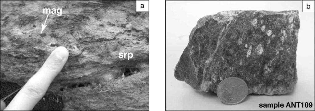 172 Fig. 3 - Field occurrences: a) Serpentinite with magnetite grains and fine-grained aggregates elongated parallel to the rock foliation.