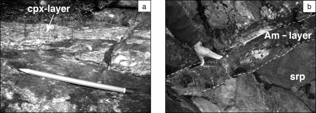 4 - Field occurrences: a) Centimetric white-to-greenish layers ( cpx-rich layer ) transposed within the serpentinite foliation. b) Amphibole-rich rocks included in serpentinite.