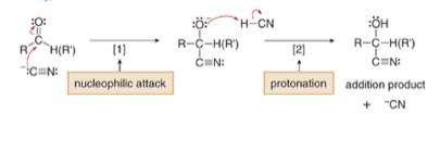 Nucleophilic Addition of CN - Treatment of an aldehyde or ketone with