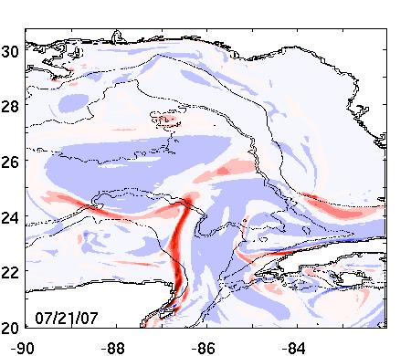 Surface relative vorticity May 5 - July 21, 2007 (free
