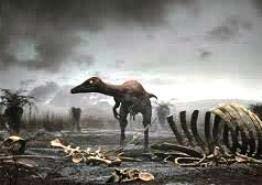 Effects of 10 km asteroid collision - Dinosaurs and other organisms starved and froze to death.