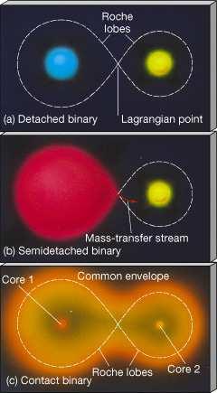 The teardrop-shaped region (or volume) around a star in a binary system, inside which material is bound to that star is
