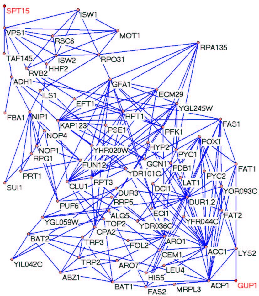 nodes of high degree in the yeast PPI network.