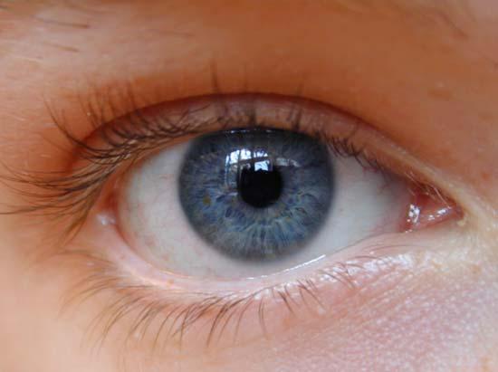 The Human Eye: Sensor of the Visible Spectrum Human eyes detect radiation in the visible part of