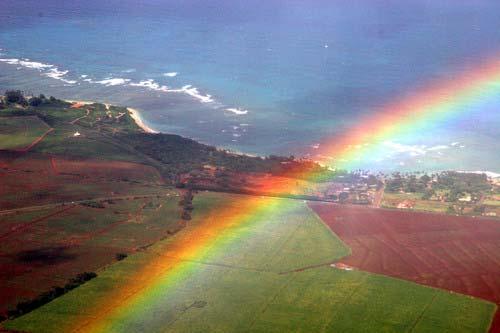 Rainbow: Nature s Prism Rainbows occur as a result of sunlight being reflected within