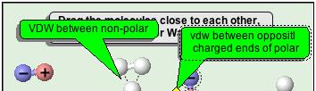 Activity Answer Guide Page 1: 1. What is the difference between polar and non-polar molecules (and don't just talk about the colors used to represent them)?
