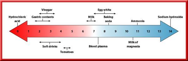 ph Scale A change of 1 ph unit represents a tenfold change in the acidity of the solution.