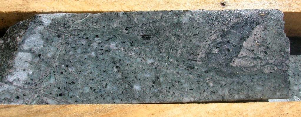 Intermineral diorite porphyry 10 Pimentón