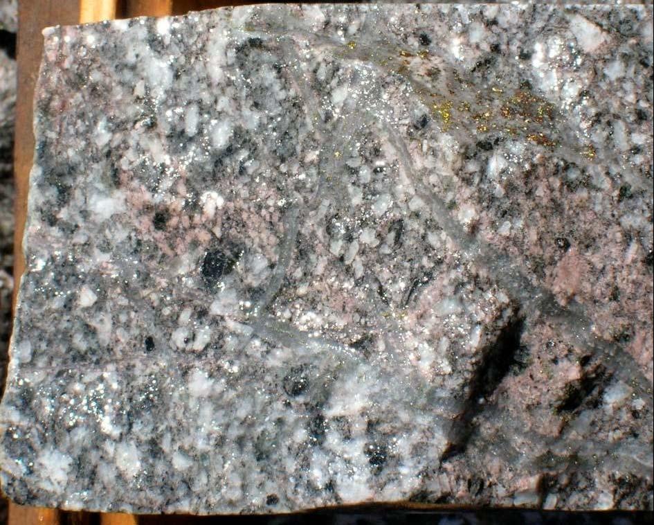 Pimentón Hole 6 128m Early diorite porphyry with A-veinlets and