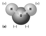 Covalent Bonds Electronegativity Hydrogen bonds Molecules and Bonding Reactive elements can join together
