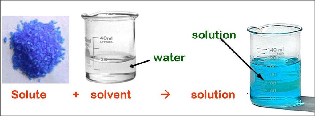 Water is a solvent Polar molecules and ions dissolve in water: hydrophilic.
