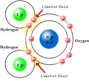 Oxygen has 8 electrons and hydrogen has 1 proton causing O to attract electrons more