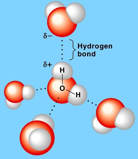 Water molecules stick