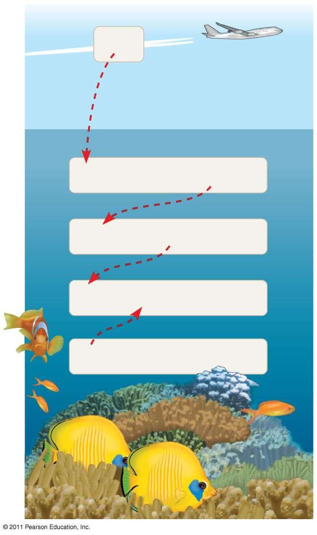 Figure 3.11 Ocean Acidification: A threat to water quality CO 2 CO 2 + H 2 O H 2 CO 3 1.