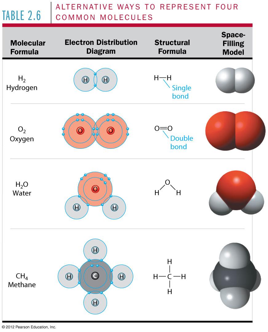 2.6 Covalent bonds join atoms into molecules through electron sharing The strongest kind of chemical bond is a covalent bond in which two atoms share one or more outershell electrons.