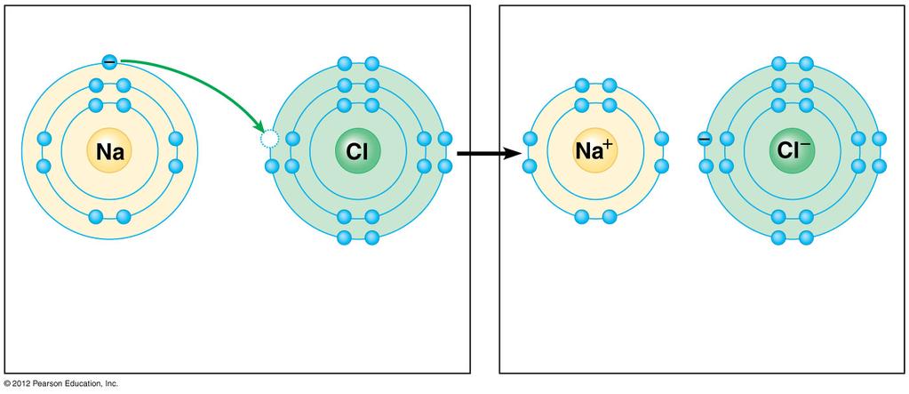 Figure 2.7A_s2 Transfer of electron Na Sodium atom Cl Chlorine atom Na + Sodium ion Cl - Chloride ion Sodium chloride (NaCl) Figure 2.7B Cl - Na + 2.