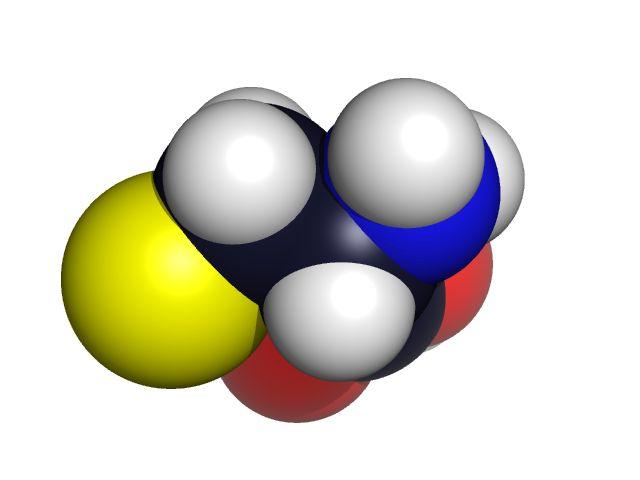 Biological Formulae Biological molecules can be portrayed by: molecular formula structural formula