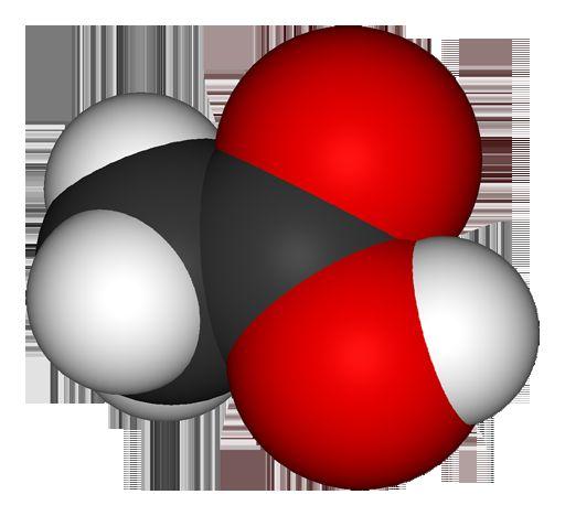 Carboxyl Group -COO O The carboxyl functional group consists of a carbon atom joined by covalent bonds to two oxygen