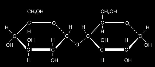 Disaccharides Disaccharides are double-sugar molecules joined with a glycosidic bond. They are used as energy sources and as building blocks for larger molecules.