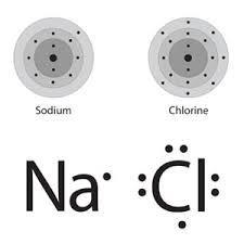 Positive Ion (Cation) Formation Na has one