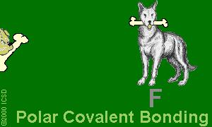 Polar Covalent Bonds: Unevenly