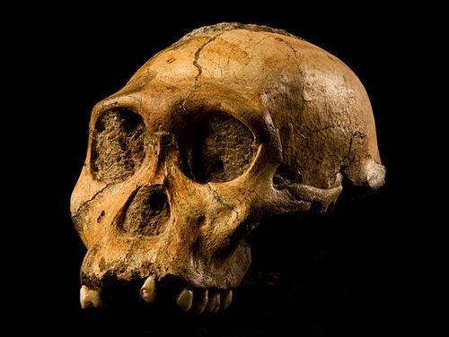 Cosmogenic dating in South Africa Burial